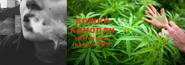 PSILOCYBIN Елизово