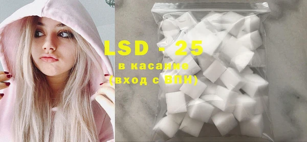 СК Елабуга