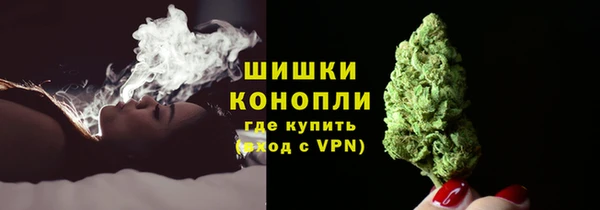 PSILOCYBIN Елизово