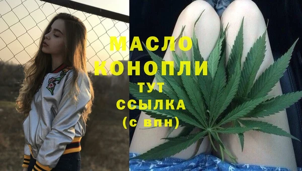 СК Елабуга